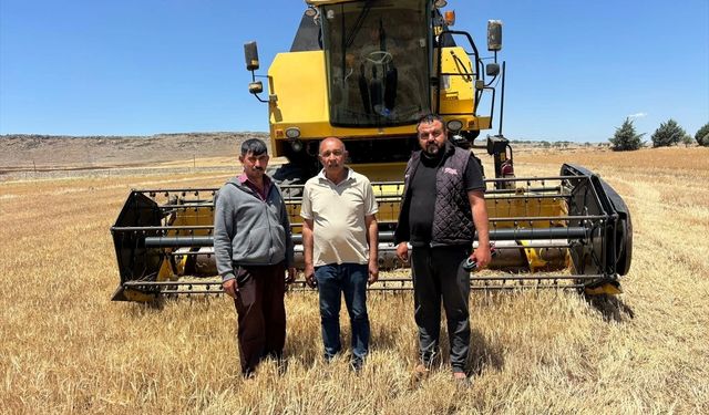 Kilis'te "anız yakmayın" uyarısı