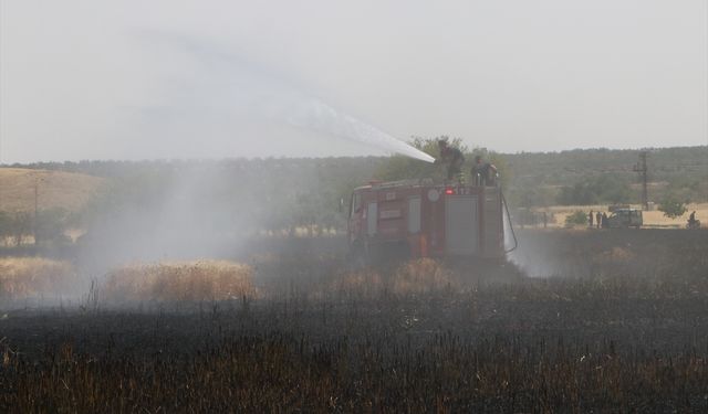Kilis'te yangında 150 dönümlük buğday tarlası zarar gördü