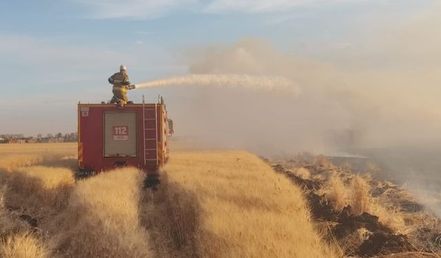 Yangında 350 dönüm buğday ekili alan zarar gördü