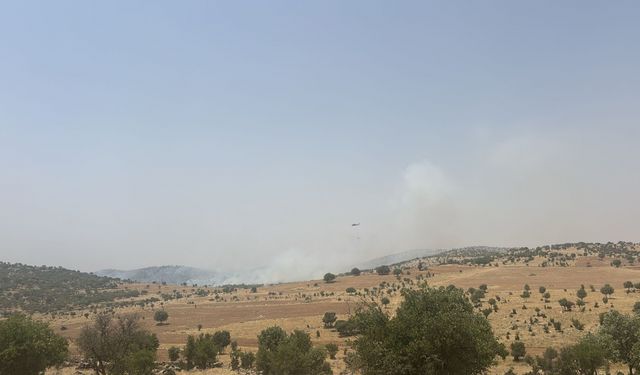 Mardin'de ormanlık alanda çıkan yangına müdahale ediliyor