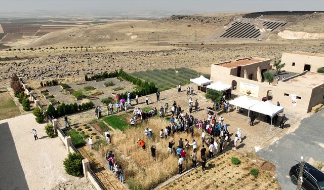 Şanlıurfa'da Slow Wheat Şanlıurfa 2025 etkinliği düzenlendi