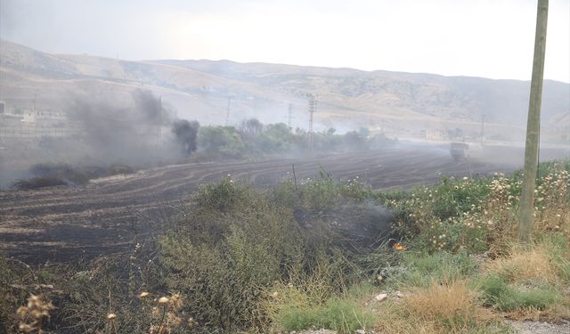 Siirt'te çıkan anız yangını evlere sıçramadan söndürüldü