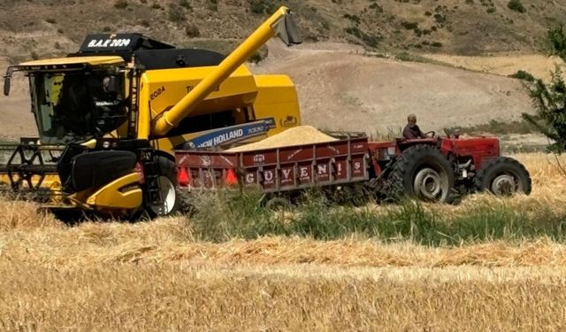 TMO hububat alım fiyatlarını açıkladı