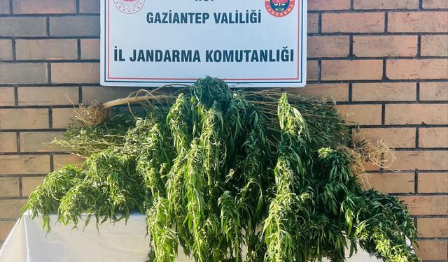 Gaziantep'te madde operasyonunda bir kişi tutuklandı