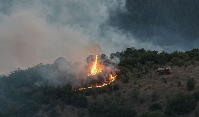 Bursa-Balıkesir sınırında çıkan orman yangını çıktı