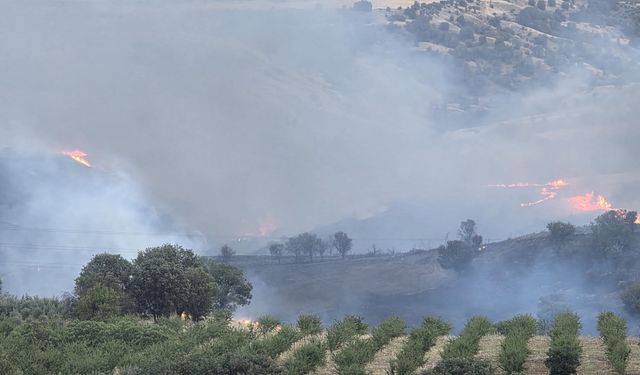 Kahta’da tarlada korkutan yangın