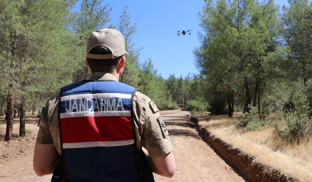 Ormanlar yangınlara karşı jandarma tarafından denetleniyor