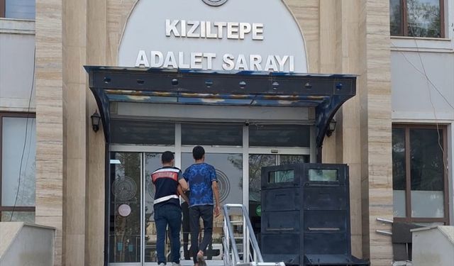 Mardin'de anız yakan kişi gözaltına alındı