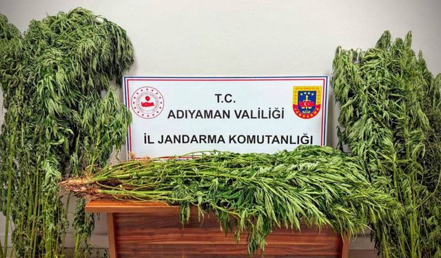Adıyaman’da Uyusturucudan 9 Gözaltı, 2 Tutuklama