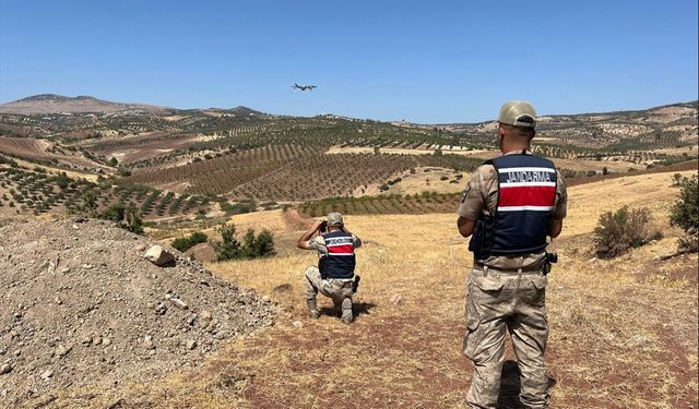 Kilis’te kayıp hayvanlar bulundu