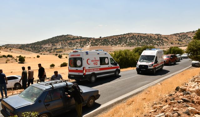 Besni'de devrilen otomobildeki 6 kişi yaralandı