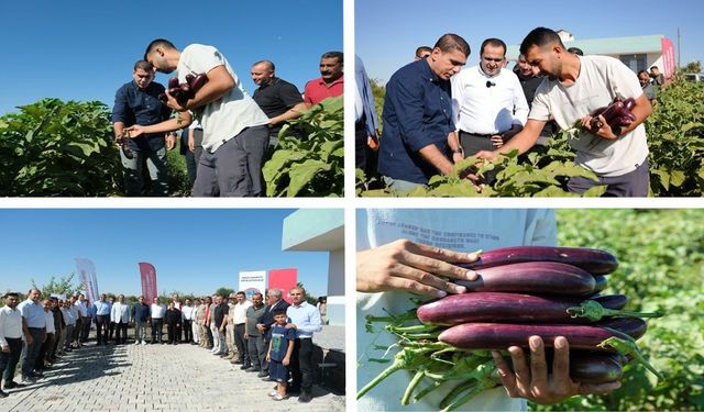 Birecik'te 'Fıstık ve Patlıcan Festivali' başladı