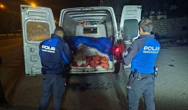 Samsun'da kaçak avlanan 5 ton midye ele geçirildi