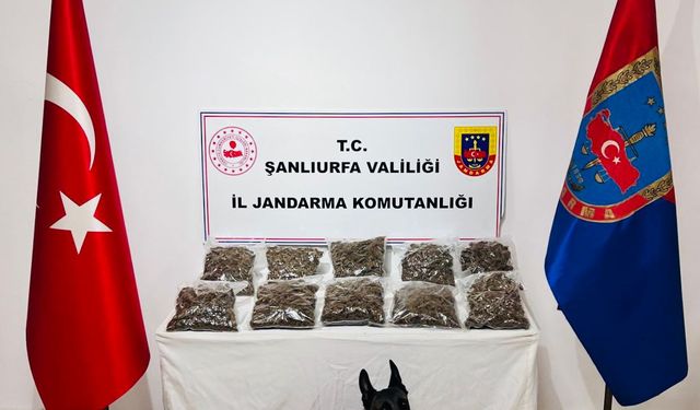 Şanlıurfa'da uyuşturucu operasyonunda 6 zanlı tutuklandı