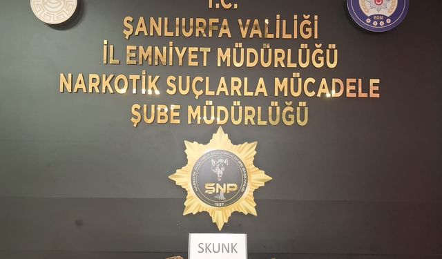 Şanlıurfa'da yakalanan zanlı tutuklandı