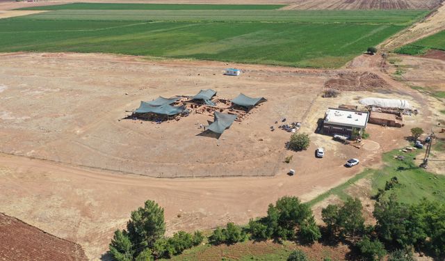 Sefertepe kazılarında 12 insan kafatası bulundu