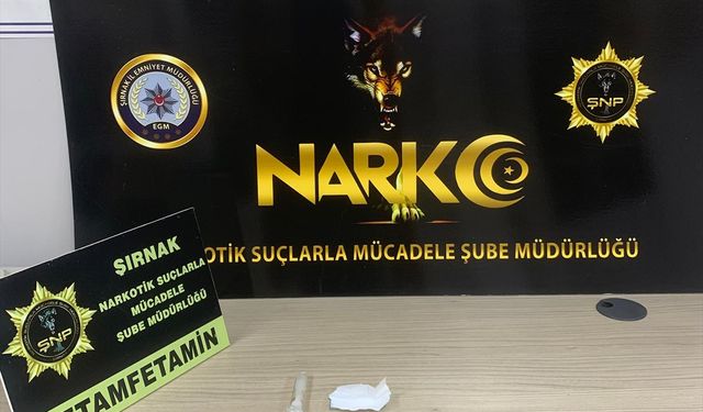 Şırnak'taki operasyonlarda 2 şüpheli tutuklandı