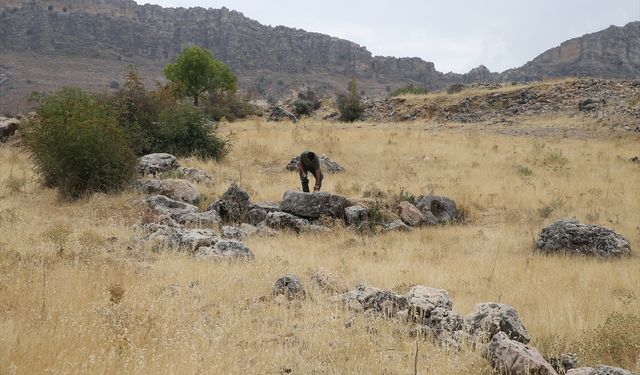 Adıyaman'da Roma dönemine ait yerleşim alanı bulundu