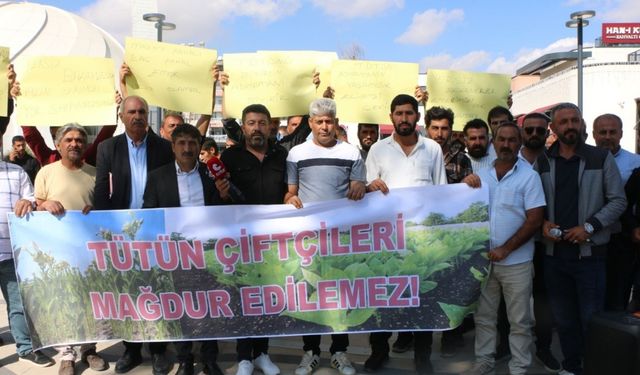 Adıyaman'da tütün üreticileri meydana indi