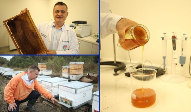 Arı Zararlılarına Karşı Borlu Solüsyon!