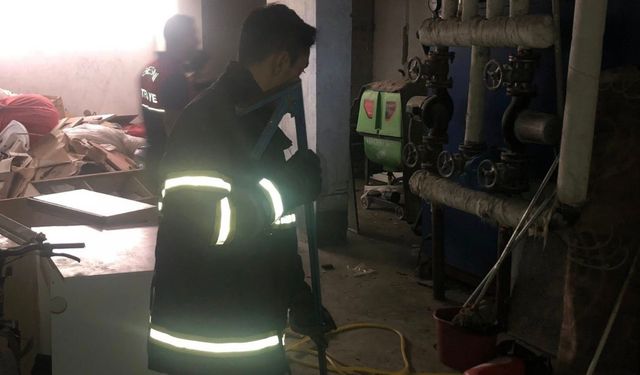 Besni'de, yakalanan yılan doğaya salındı