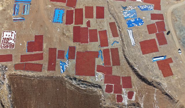 Kilis'te pul biber mesaisi Başladı