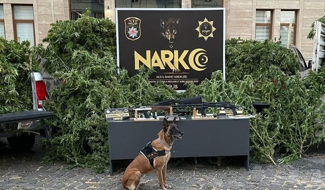 Kilis'te uyuşturucu operasyonunda 1 zanlı tutuklandı