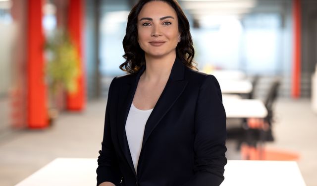 Logo Yazılım ve Visa'dan Yeni Hizmet