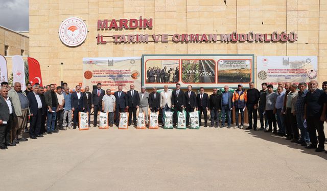 Mardin’de çiftçilere %75 hibeli nohut ve mercimek dağıtıldı