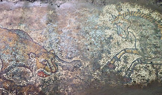 Mardin’de 1500 yıllık tarihi mozaik bulundu