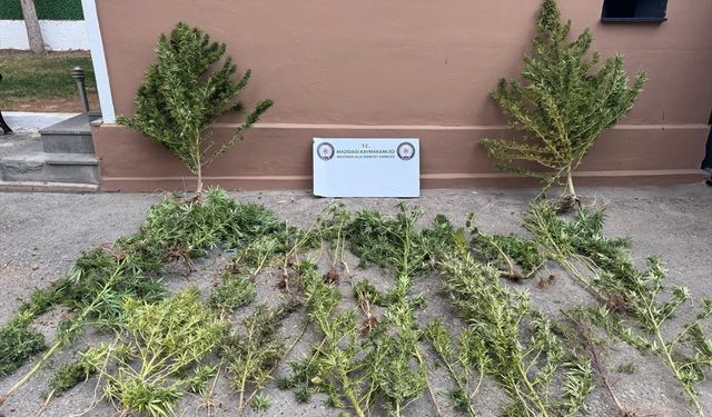 Mardin'de madde operasyonlarında 3 şüpheli gözaltına alındı