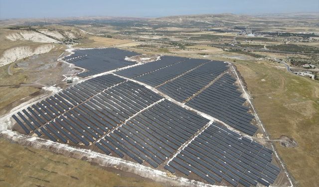 Çizgili sırtlan güvenlik kamerasınca görüntülendi