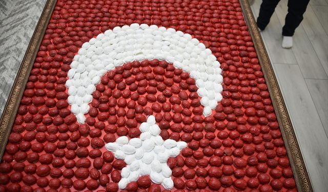 Şanlıurfa'da ceviz kabuklarıyla Türk bayrağı yaptılar