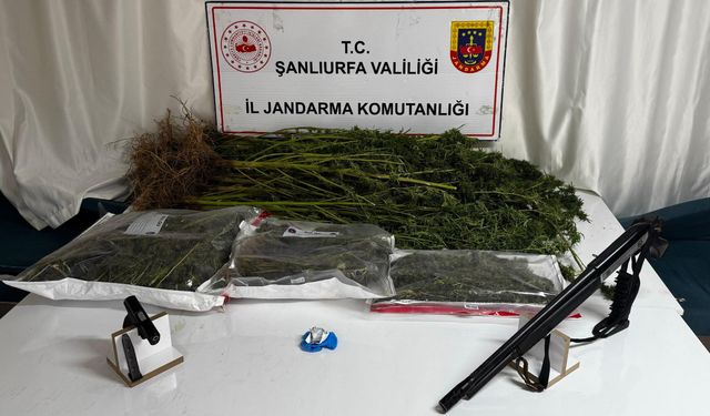 Şanlıurfa'da madde operasyonlarında 4 şüpheli yakalandı