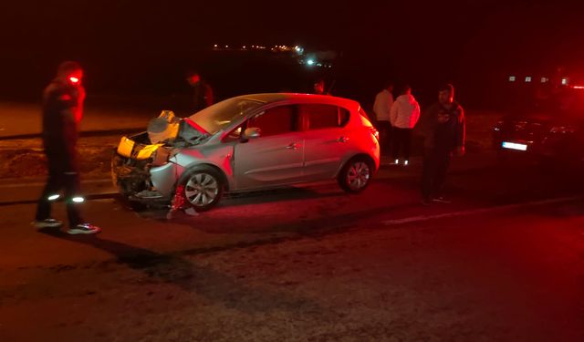 Siirt'te eşeğe çarpan otomobilin sürücüsü yaralandı