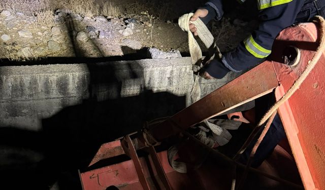 Siirt'te su kanalına düşen inek kurtarıldı