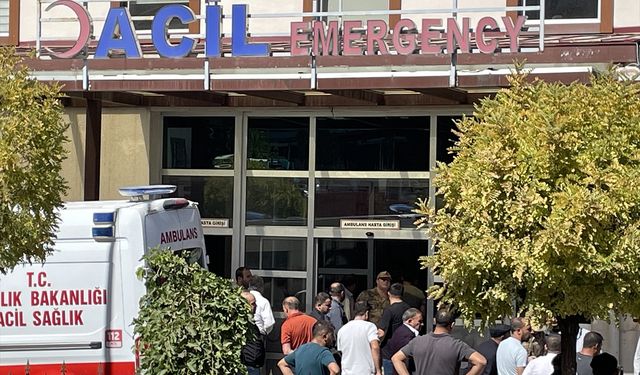 Zarova Çayı'na giren genç boğuldu