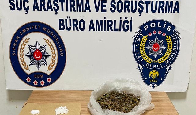 Şırnak'ta aracında madde bulunan sürücü gözaltına alındı
