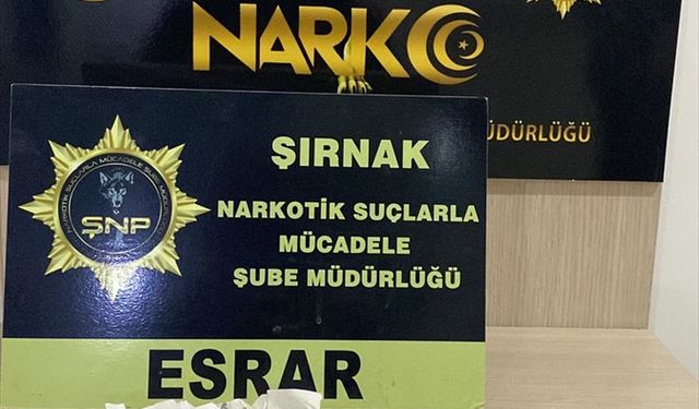 Şırnak’ta kaçakçılık operasyonunda 4 şüpheli tutuklandı