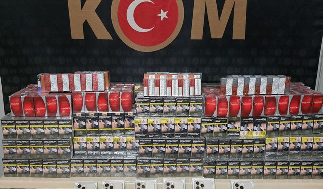 Şırnak'ta gümrük kaçağı malzeme taşıyan şüpheli yakalandı
