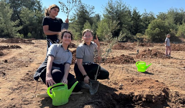 Yeniköy Kemerköy Enerji 300 zeytin fidanı dikti