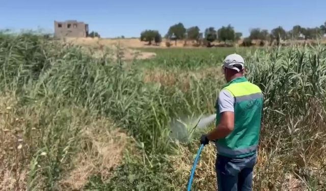 Başkan Tutdere; "Halk Sağlığı Bizim Önceliğimiz"