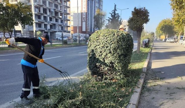 Adıyaman Belediyesi Park ve Bahçelerde Kış Bakımına Başladı