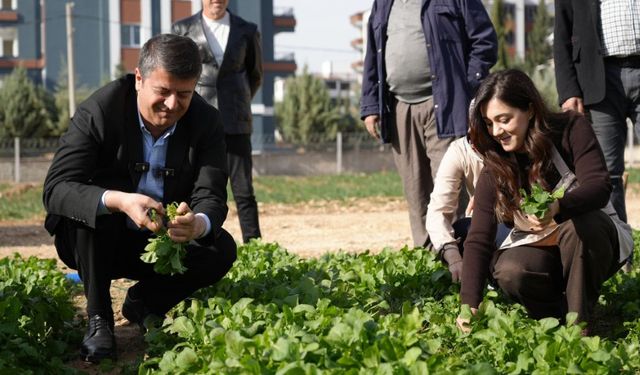 Adıyaman’da Kadın Emeğiyle Üretilen Sebzeler Tezgâha Çıktı