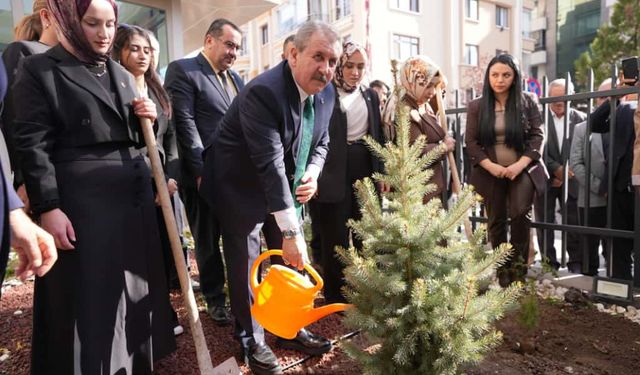 BBP Genel Başkanı Destici fidan dikti