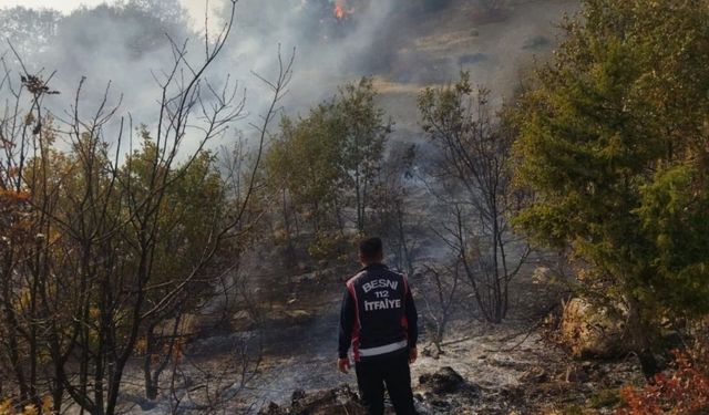 Besni Akpınar Köyü'nde orman yangını önlendi