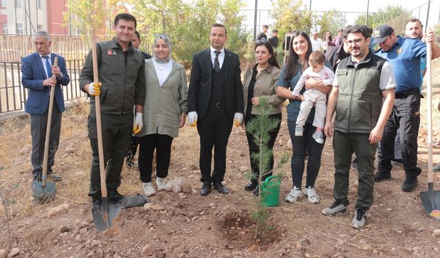 Cizre'de Milli Ağaçlandırma Günü kapsamında fidan dikildi