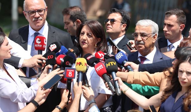 DEM Parti heyeti Öcalan'la görüştü