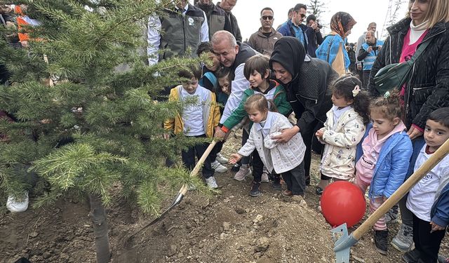 Elazığ, Şırnak ve Bingöl'de fidanlar toprakla buluşturuldu