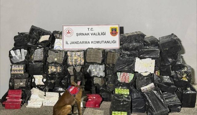 Gözaltına Alınan 51 Kaçakçıdan 2’si Tutuklandı